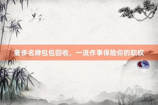 奢侈名牌包包回收，一流作事保险你的职权