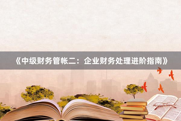 《中级财务管帐二：企业财务处理进阶指南》