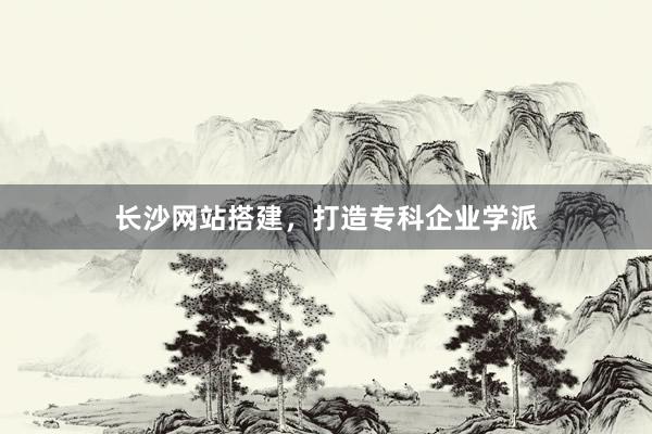 长沙网站搭建，打造专科企业学派