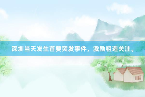 深圳当天发生首要突发事件，激励粗造关注。