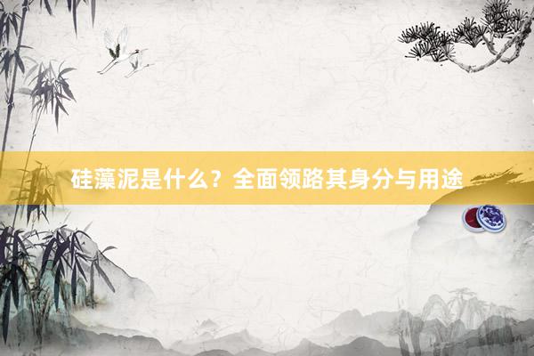 硅藻泥是什么？全面领路其身分与用途