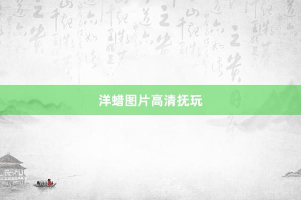 洋蜡图片高清抚玩