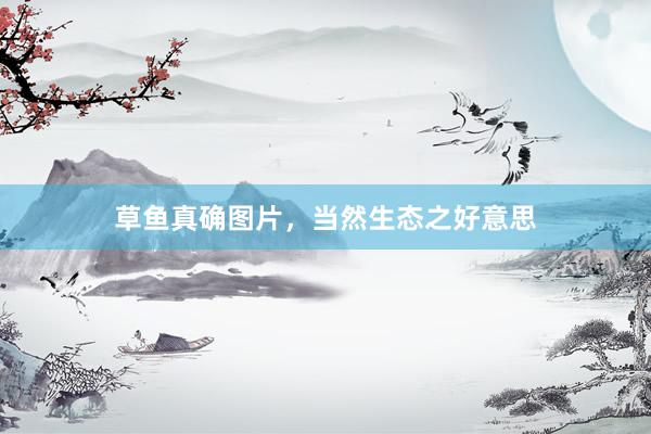 草鱼真确图片，当然生态之好意思